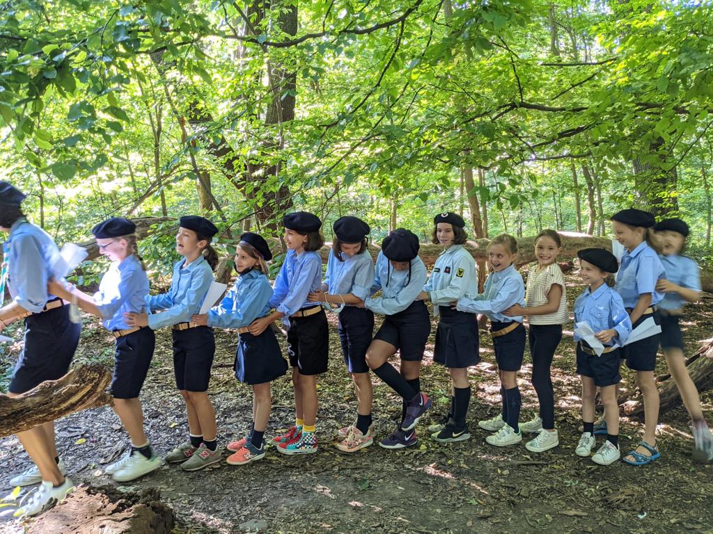 Louvettes à la queue leu-leu dans les bois